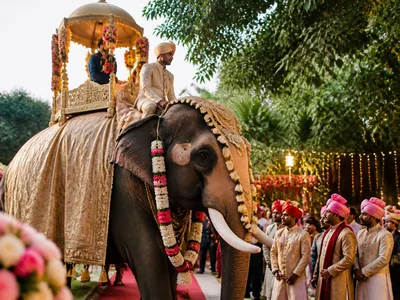 Elephant Entry wedding service visual