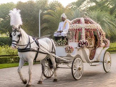 Horse Carriage wedding service visual
