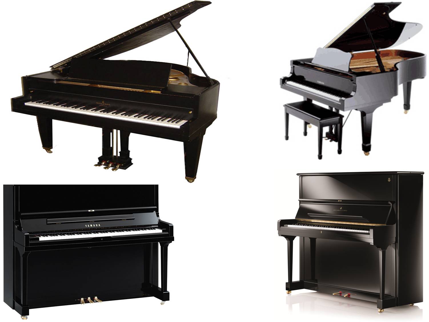 piano on rent delhi