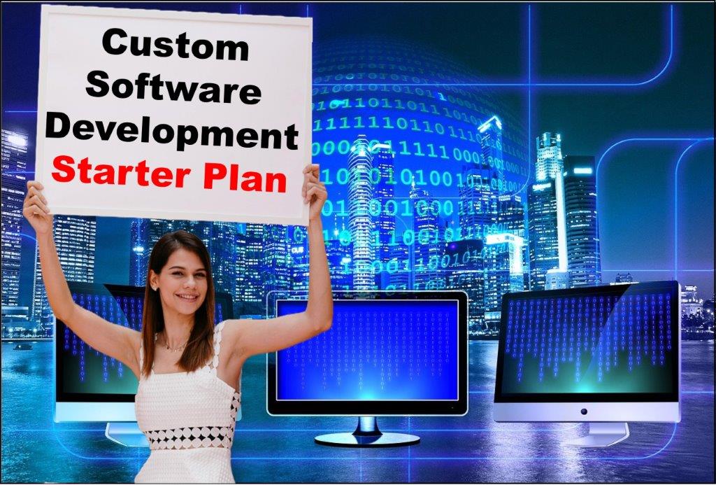 custom software development services in Delhi