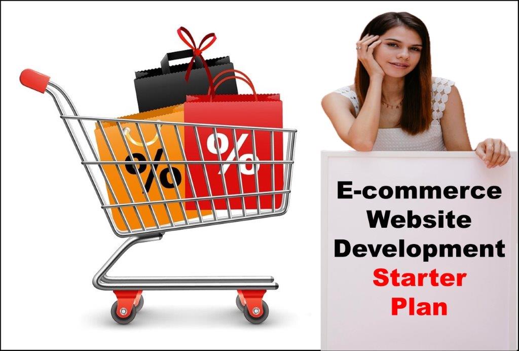 ecommerce website development agency in Delhi