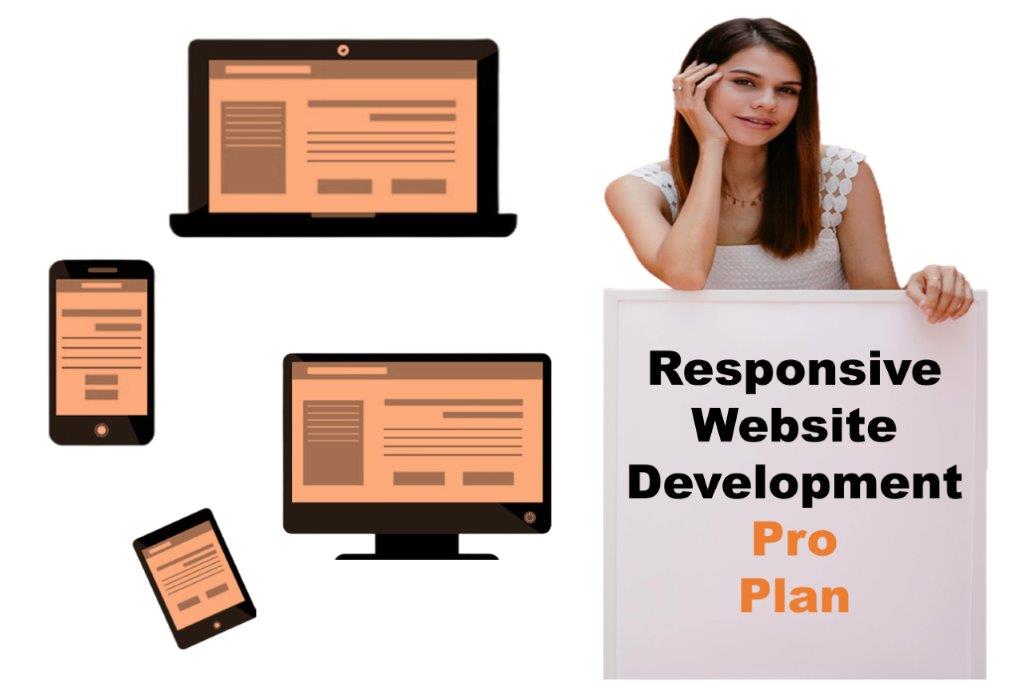 expert responsive website development agency in Delhi