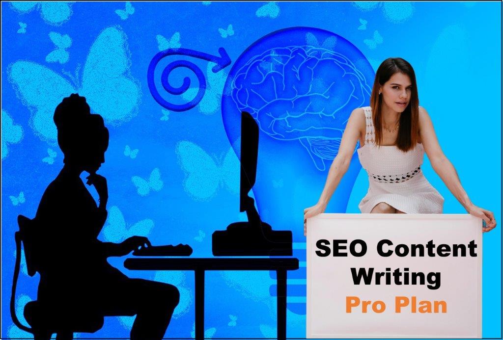 seo content writing agency Delhi