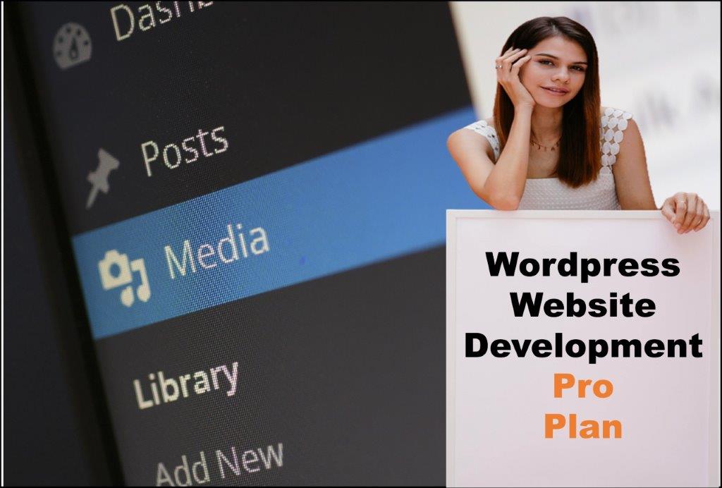 wordpress website designing in Delhi